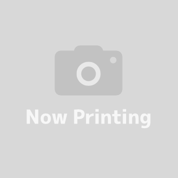 e463ec80069fec91a5a6a23c1ad901d0.jpg