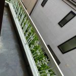 お申込頂きました！[フルリノベーション上井草1丁目貸家] 画像22